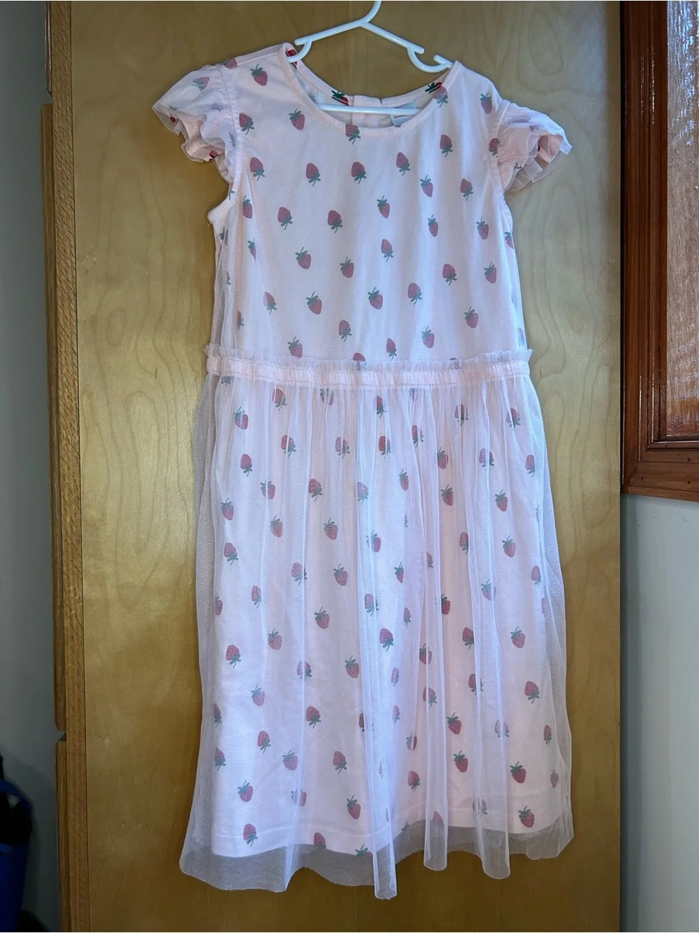 Hanna Andersson Pink Strawberry Tulle Overlay Dress